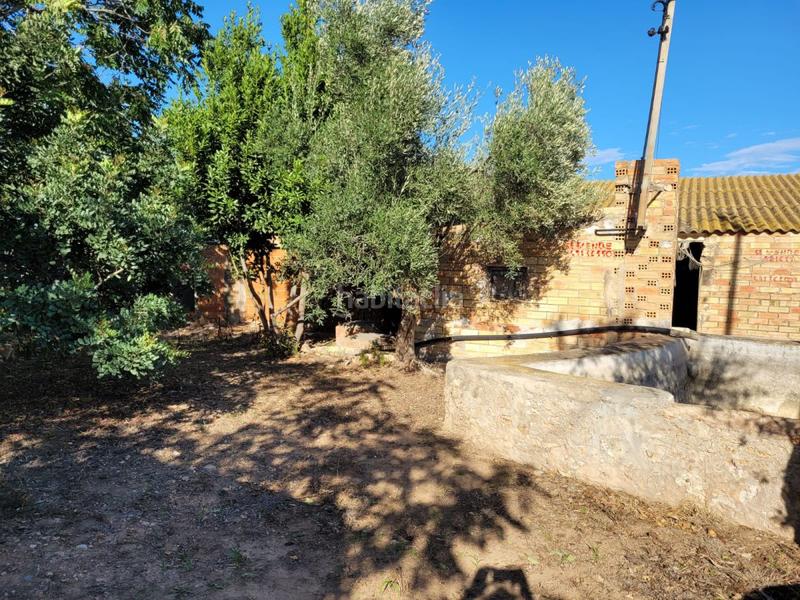 Foto b2c63ecc-f9c2-4217-8e62-8179560a6ec7. Masía finca rúst. en venta en lligallo. en Eucaliptus - Poble Nou del Delta Amposta