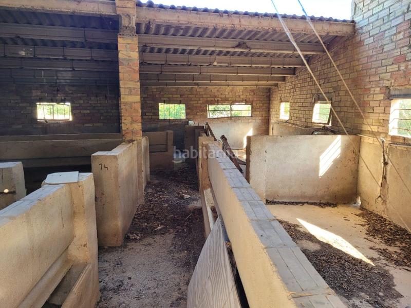 Foto d3e7143a-c796-4864-903a-6463008762d3. Masía finca rúst. en venta en lligallo. en Eucaliptus - Poble Nou del Delta Amposta