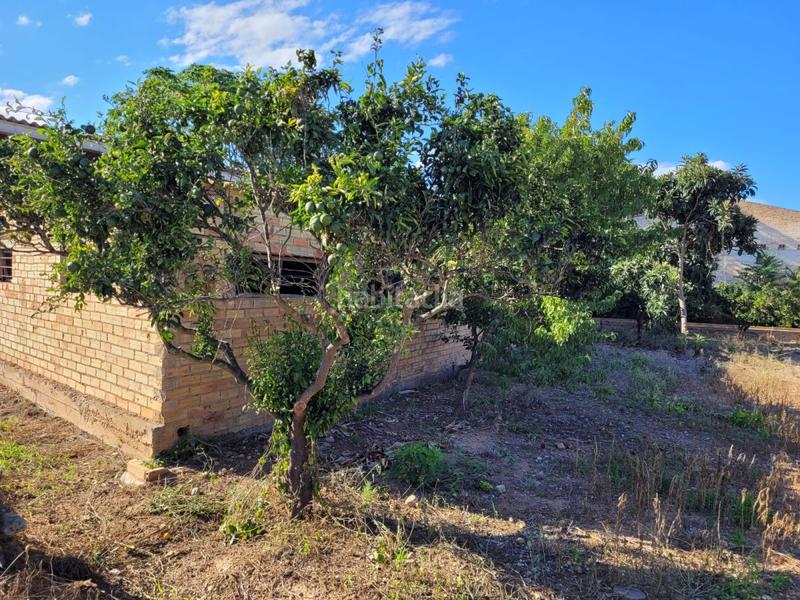 Foto dee4c0ea-570f-43e6-881c-0caac96a6420. Masía finca rúst. en venta en lligallo. en Eucaliptus - Poble Nou del Delta Amposta