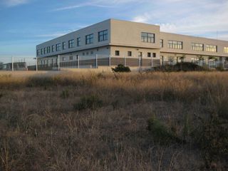 Finca rústica a Partida Ramell 161