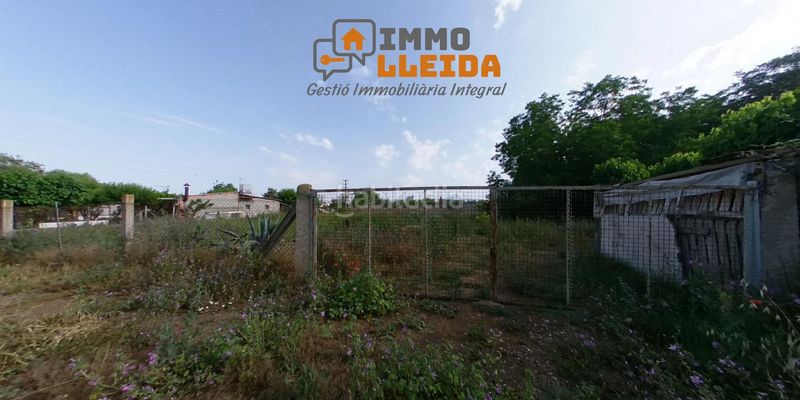 Foto 009f99c9-ab66-49d0-8174-deb86b7b1f00. Finca rústica a calle campllong a Balaguer