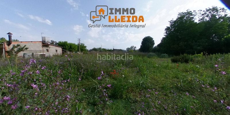 Foto 22c047a4-6005-4fb6-a099-60bf2678ec87. Finca rústica a calle campllong a Balaguer