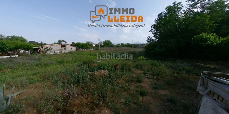 Foto 5e5fc92a-aa38-4850-996b-ddf63f14c74f. Finca rústica a calle campllong a Balaguer