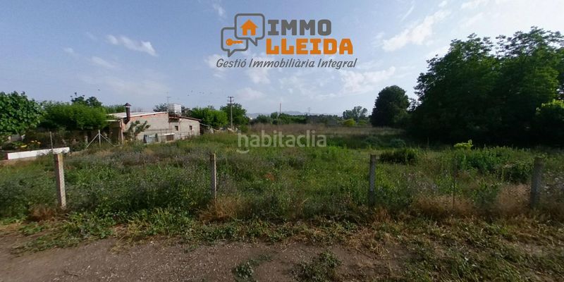 Foto a3bf528a-9ee2-4652-b246-c1c3a5fdf008. Finca rústica a calle campllong a Balaguer