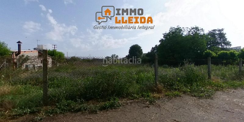 Foto b81fe49f-505f-4dde-8862-85e1715b3f4a. Finca rústica a calle campllong a Balaguer