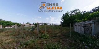 Finca rústica en Balaguer. Oportunidad!! terreno de regad?o justo al lado de balaguer!!