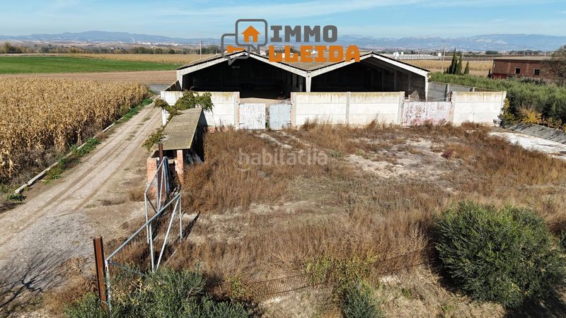 Foto a88b645f-f7b7-4bfb-9b17-a1ca9ff44b46. Nau industrial a calle afores s/n a Térmens
