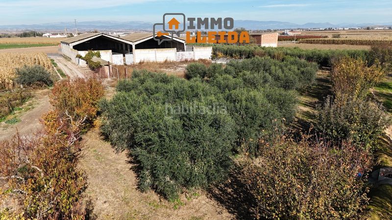 Foto cd6b4a1d-8eef-4cec-a20e-56338ce6ba5f. Nau industrial a calle afores s/n a Térmens
