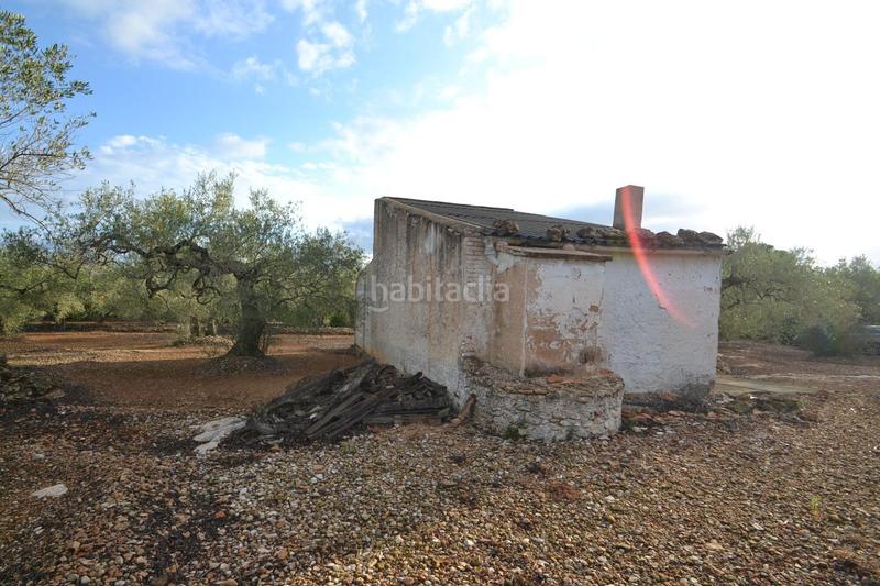 Foto 3fb870ae-9a01-4eed-887b-e8f88e1c7ad6. Masia a polígono 10 parcela 27 codinas. el perello (tarra 10 a Perelló (El)