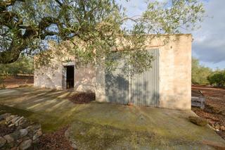 Bauernhof in Polígono 10 parcela 27 codinas. el perello (tarra 10. Finca rústica en el perelló