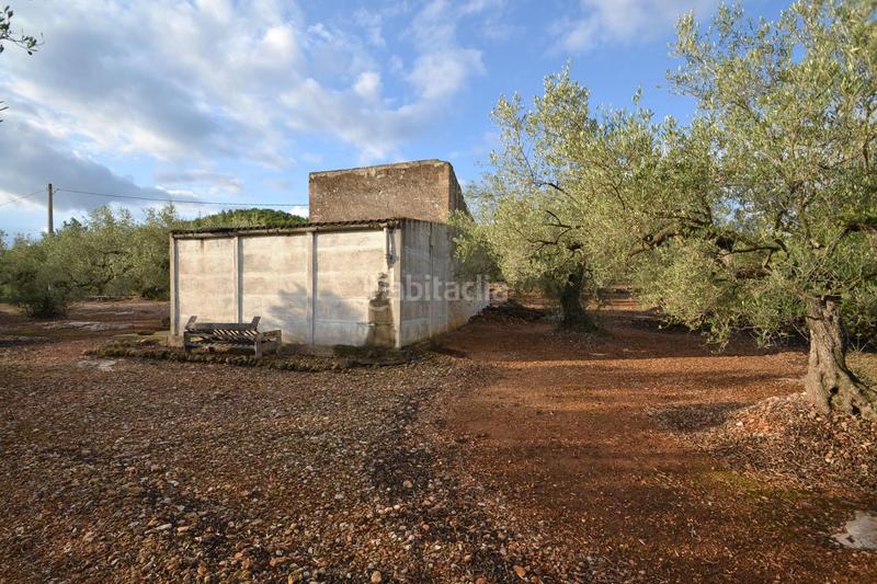 Foto 9781bb5f-02d4-4997-857c-e60a30d04c45. Masia a polígono 10 parcela 27 codinas. el perello (tarra 10 a Perelló (El)