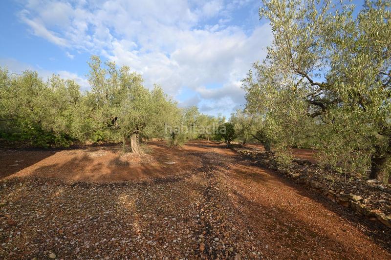 Foto b5a1862c-9159-4ae6-bb1b-2dfea1849db5. Masia a polígono 10 parcela 27 codinas. el perello (tarra 10 a Perelló (El)
