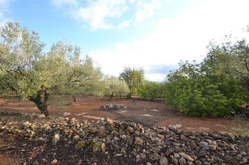 Foto dd8791a6-d5b5-4d81-8278-52d34c41d4ae. Masia a polígono 10 parcela 27 codinas. el perello (tarra 10 a Perelló (El)