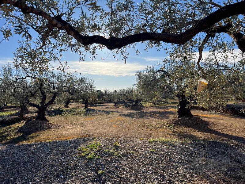Foto 75e65a27-3e2c-4b91-ac12-d74462365266. Landgut in Perelló (El)