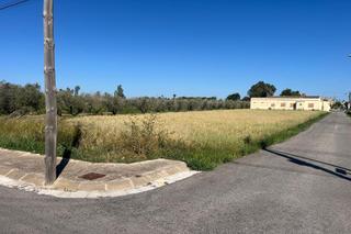 Terreny residencial a Deltebre. Parcela de terreno en zona tranquila para edificar
