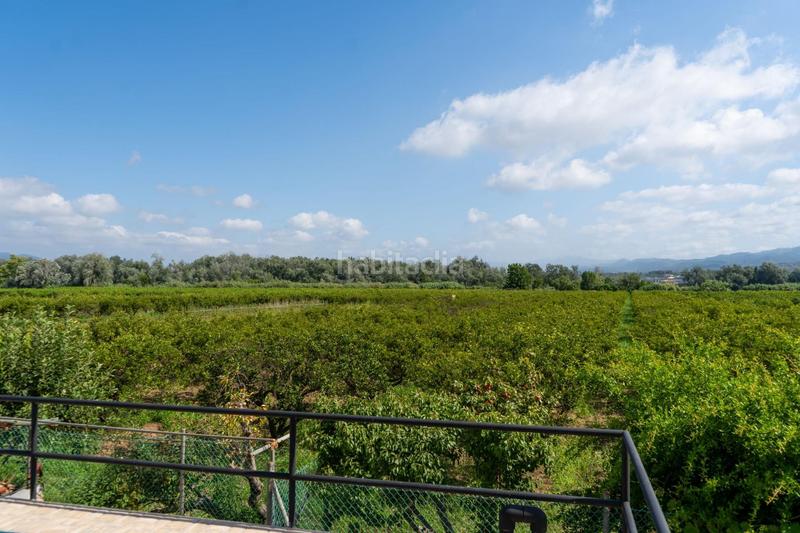 Foto 025aea67-f9fe-407c-80b3-49adc68519a4. Mas dans Vinallop Tortosa