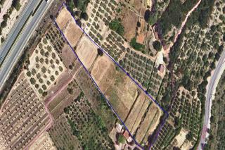 Terreny residencial a Freginals. Finca rústica en freginals, con agua y luz, a un paso del pueblo