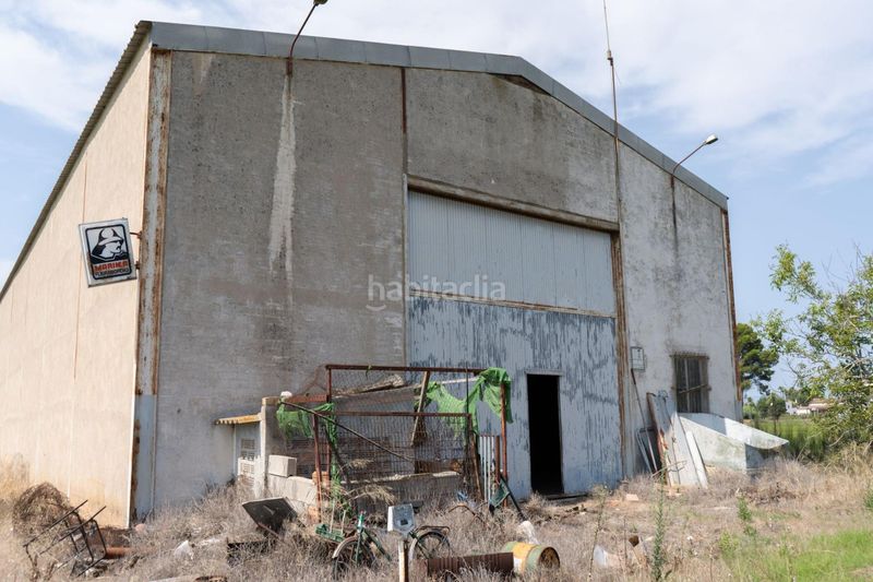 Foto 7bfd6941-9625-4cba-bcbf-99de1941802e. Local comercial a Deltebre