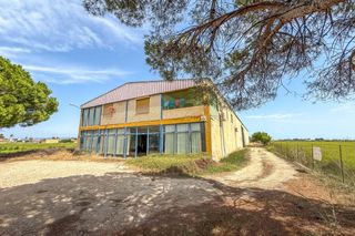 Local Comercial a Deltebre