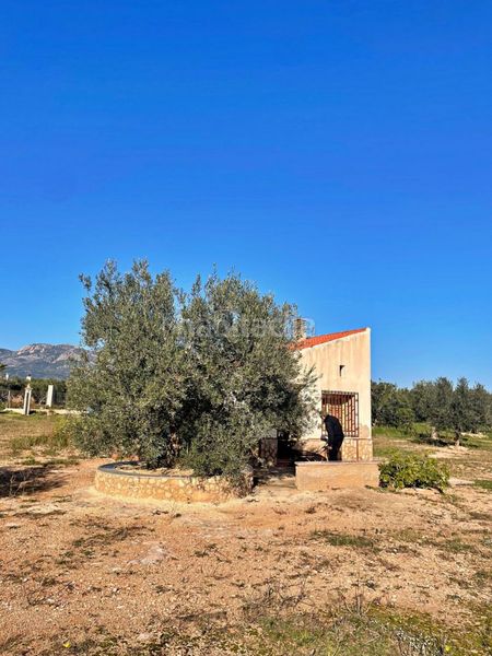 Foto f7a22c88-a048-4e0a-b1d1-fa28609f1d6b. Casa a Aldover