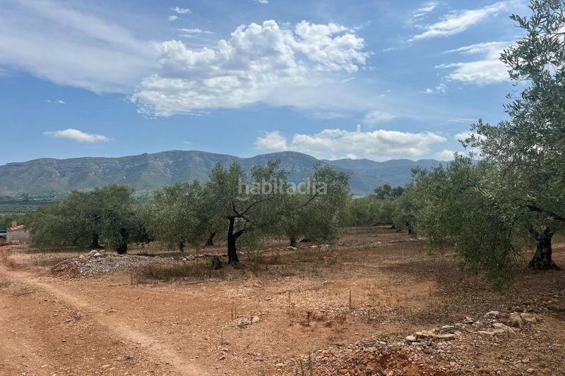 Foto 52163074-c92f-43c2-a210-65fcfd406f90. Masia a Freginals