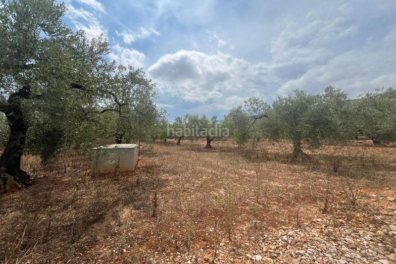 Foto 7edb659f-5272-4369-9af8-d165d6f3214a. Masia a Freginals