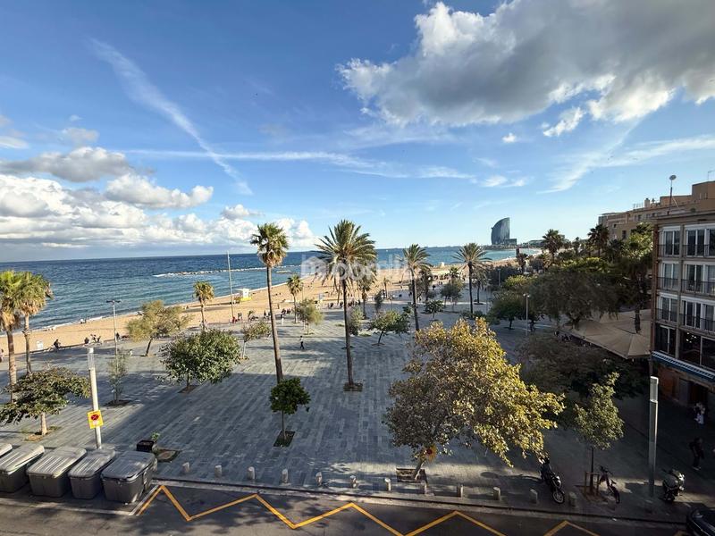 Foto 08aebf6f-3ab3-4430-b5bf-aad8c38b4a86. Flat in Barceloneta Barcelona