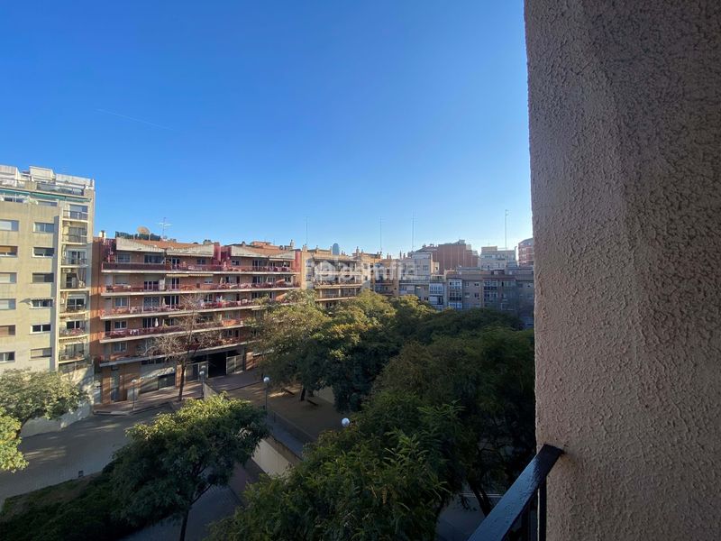 Foto 9dd1b8e2-4794-42d2-99e7-7a8eb2e1b054. Pis a El Clot Barcelona