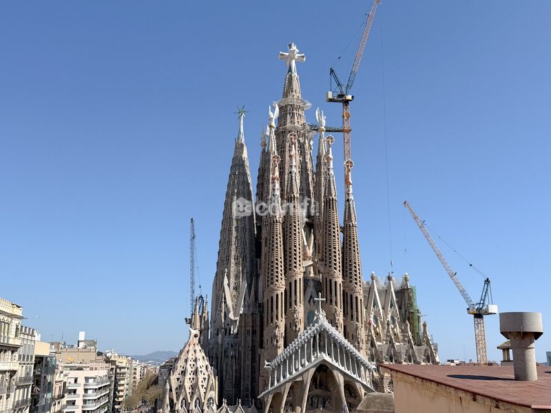 Foto 3e7a0a76-d025-42da-8196-558810efccec. Àtic a Sagrada Família Barcelona