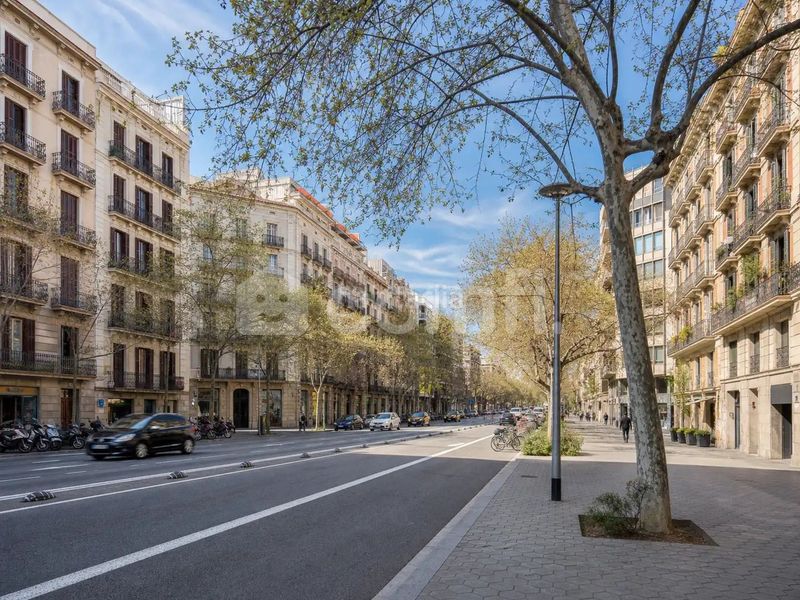 Foto 627adfc2-1064-4a16-9c2a-9fa0f45cc744. Pis a La Nova Esquerra de l´Eixample Barcelona