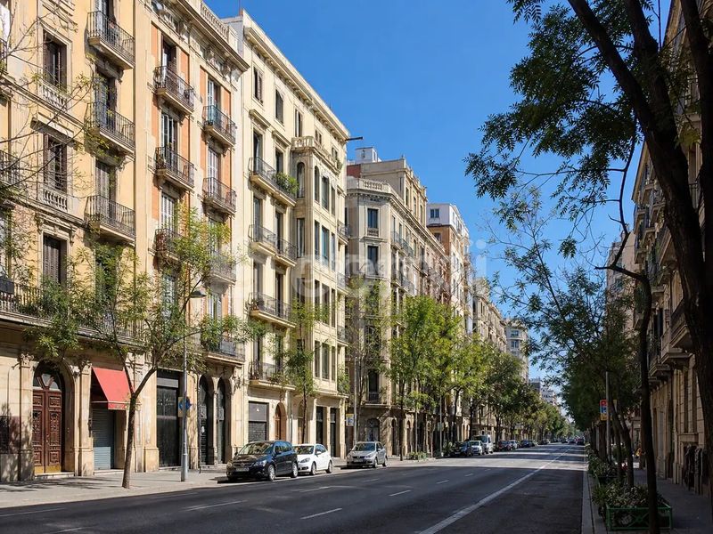Foto e91b048e-e031-4a6c-890b-e90e95e604af. Pis a La Nova Esquerra de l´Eixample Barcelona