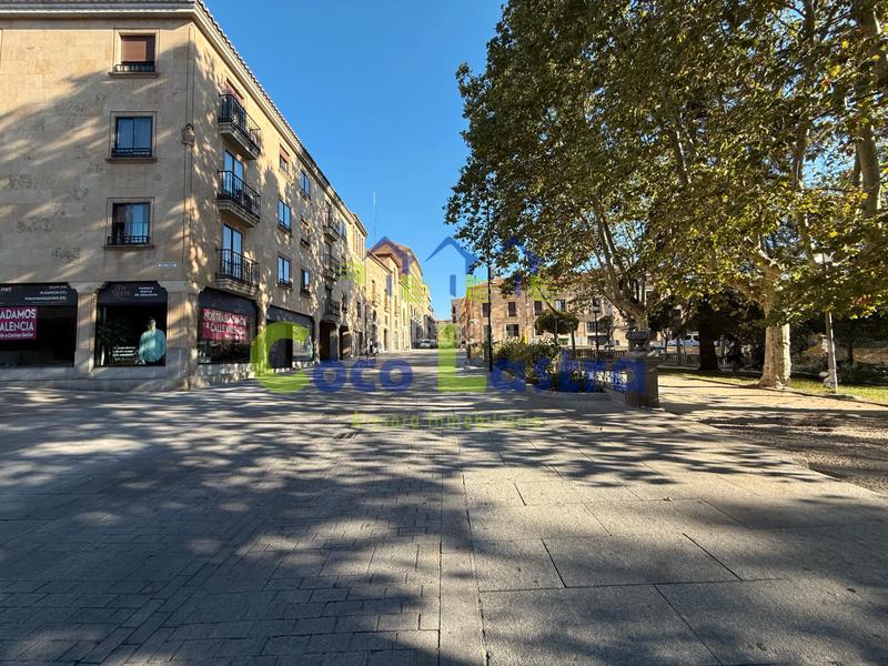 Foto 34eb86d5-430d-4ca5-bd6e-32a3f4d9fa3b. Location studio dans calle san pablo 26 dans Centro Salamanca