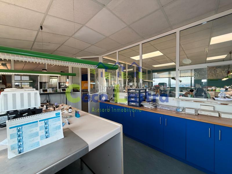 Foto 6ad9cf89-0b93-47fb-8b42-46f60efdef26. Büro in calle colombia 45 in Rollo - Puente Ladrillo Salamanca