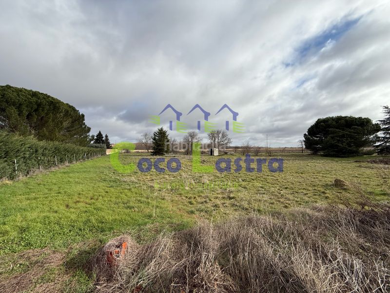 Foto 1a7fd486-2ef2-4dee-9e90-47ad2a0dde76. Terreno residenziale in Pelabravo