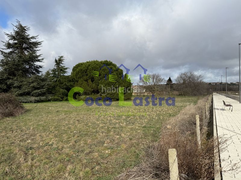 Foto 50a5933b-626d-45a4-a0dc-a37177ce1c7c. Terreno residenziale in Pelabravo