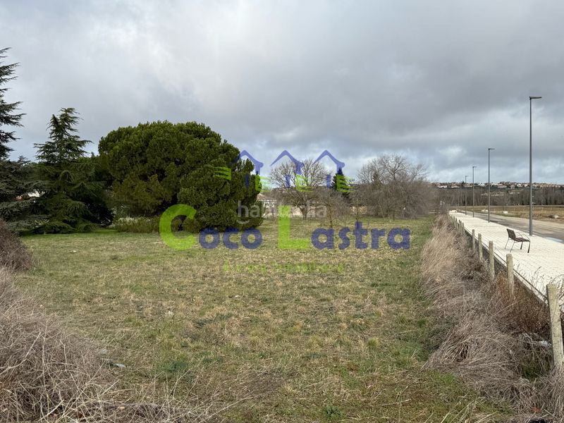 Foto c40a7bf1-7988-40a6-9a02-53e962dcb1bd. Terreno residenziale in Pelabravo