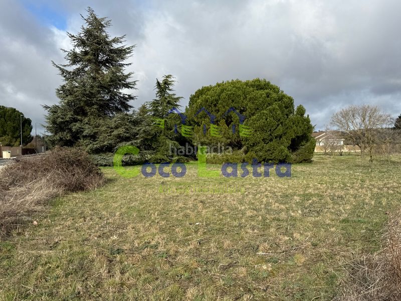 Foto d2521e72-3030-4b0a-b0e4-e0bd8511ab1d. Terreno residenziale in Pelabravo