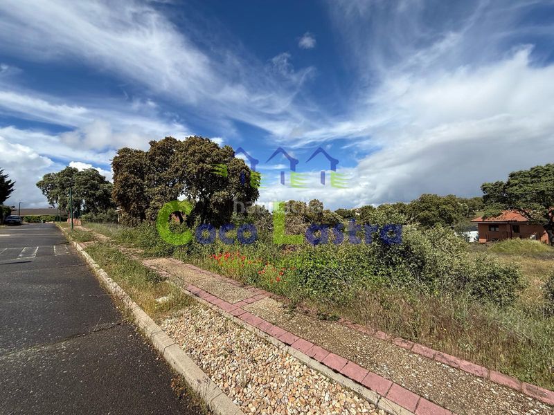 Foto 55e39cbf-1149-4fc5-81cc-b7f31f3b62fc. Terreny residencial a calle de la jacaranda 11 a Carrascal de Barregas