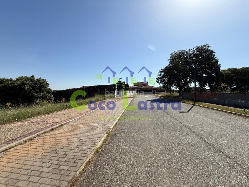 Foto 1fda4237-f669-4bb7-bcd1-9e4c9e490c41. Terreny residencial a calle drago 13 a Carrascal de Barregas