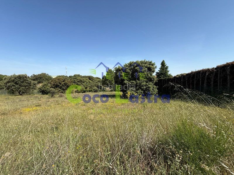 Foto 5ab2c2fd-824e-43b1-85b8-c5642afc360e. Terreny residencial a calle drago 13 a Carrascal de Barregas