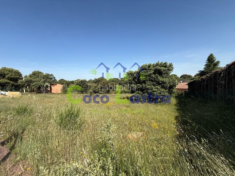 Foto 703d375b-f505-4905-9add-6870c17be20d. Terreny residencial a calle drago 13 a Carrascal de Barregas