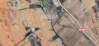 Fondo rustico  N/a. Parcelas chillaron de cuenca el molino