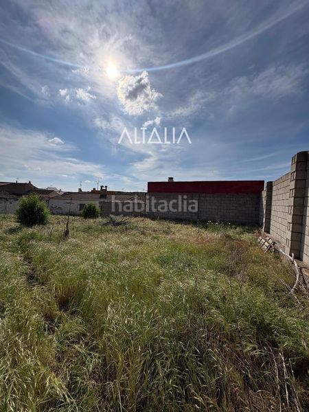 Foto 6918c68b-c06f-44c0-8802-99b669a27e1f. Finca rústica parcela en venta en Belmonte