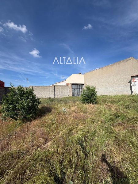 Foto 894635b6-6212-438b-ba4b-3e004518f861. Finca rústica parcela en venta en Belmonte