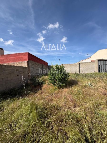 Foto c56e5b26-9290-4ea6-bf3e-fdfd6ccf5624. Finca rústica parcela en venta en Belmonte
