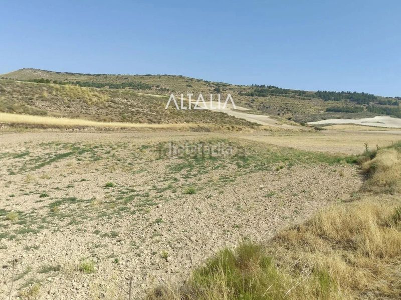 Foto c1368aa0-73fe-40f5-b82f-0884346c2bec. Finca rústica a Barajas de Melo