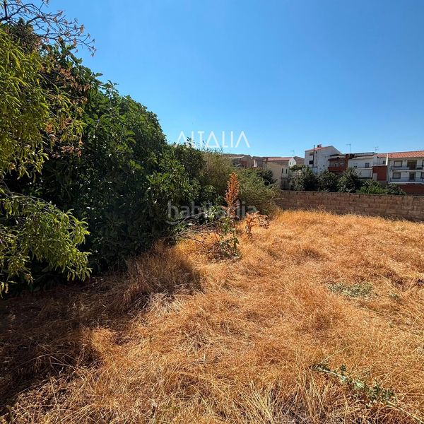 Foto 40d2bf01-4e9d-4097-bbe1-6089486a5ea8. Maison dans Villalba del Rey