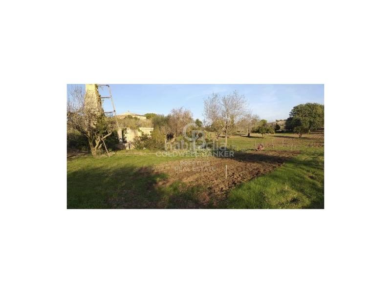 Foto 0394a4f5-ad42-4806-a453-453e40a2159d. Casa in Artà poble Artà