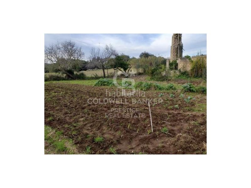 Foto 223ec1c9-32b5-403b-92ee-5862d8e54e8d. Casa in Artà poble Artà