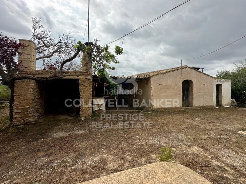 Foto 483eb1d6-0a01-467a-bc6d-ece76845dd57. Casa in Artà poble Artà